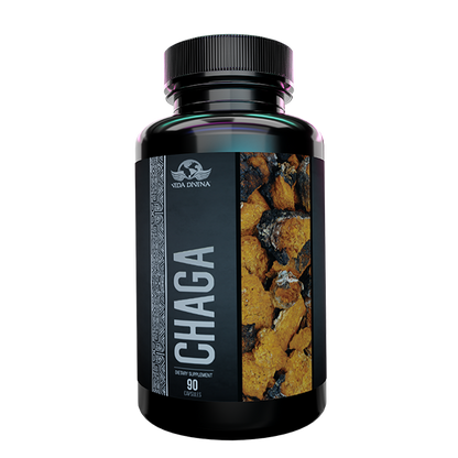 Chaga