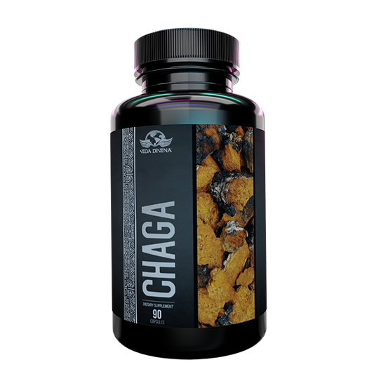 Chaga