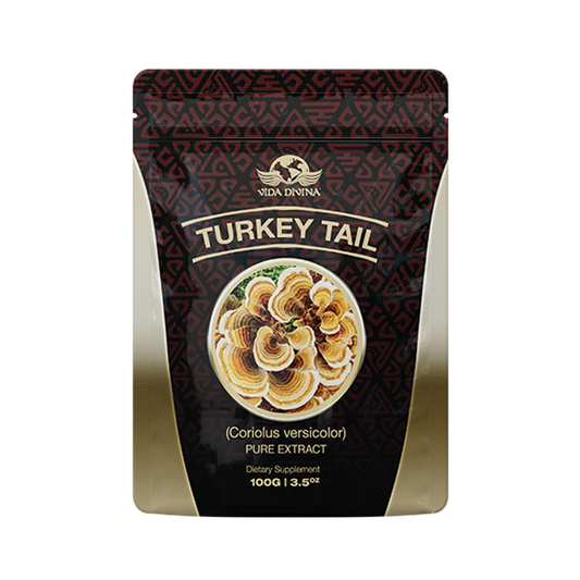 Turkey Tail Extract